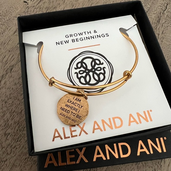 NWT Alex & Ani Path of Life® Embossed Charm Bangle - Picture 4 of 5